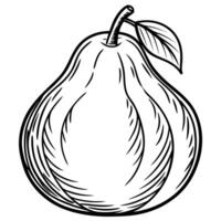 a pear is drawn in black and white on a white background vector