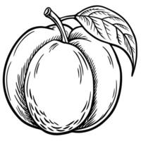 a black and white drawing of a peach vector