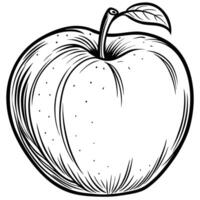 an apple is drawn in black and white on a white background vector
