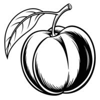 a black and white drawing of a peach vector
