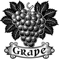 grape logo with grapes and ribbon vector