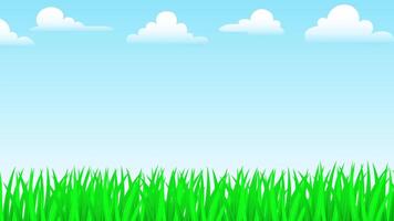 A vibrant summer meadow stretches towards a boundless blue sky, dotted with fluffy clouds video