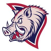 an angry boar head with sharp teeth vector