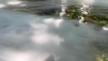 Misty over water, Clouds fog over river water surface in the morning, white fog on river, mist on water surface in spring time, fog on river with white haze flow above water video