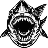 shark head with open mouth and teeth vector