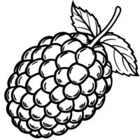 blackberry coloring pages free printable coloring pages vector