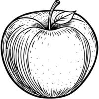 an apple is drawn in black and white vector