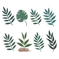 Leaf Branches Hand-Drawn Elements vector