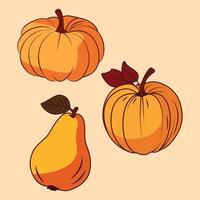 Autumn Set Hand-Drawn Pumpkin Elements vector