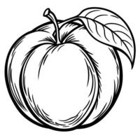 a black and white drawing of a peach vector