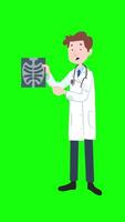 Doctor Examines X-Ray Patient Lung Image On Vertical On Greenscreen Background 2D Cartoon Animation video