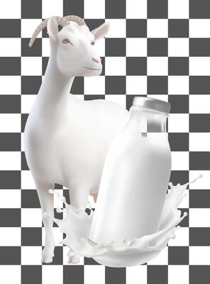 Realistic white Milk products Goat splash flowing yogurt cream isolated on background