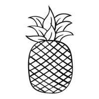 Pineapple hand drawing vector