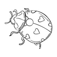 ladybug hand drawing vector