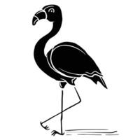 Flamingo hand drawing vector