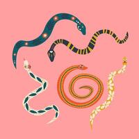 Folk Art Animal Snake Design Element vector
