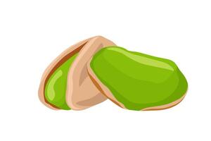 Pistachio nuts isolated on white background vector