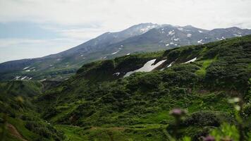 Fabulous Landscape In Kamchatka Peninsula, High Mountain And Dense Forest On Slopes And Snow video