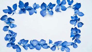 Blue flowers border frame on a white background with copy space for text. video