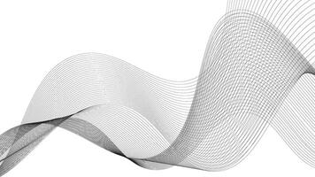 Abstract wave background business lines. Black curve wave technology lines isolated on white abstract background vector