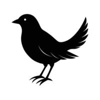 Black bird silhouette with spread tail feathers vector