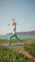 Morning Yoga Session by the Ocean at a Scenic Coastal Location in Bright Sunlight video