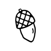 Acorn fruit, nut. Autumn forest. Oak grove. Doodles. Hand drawn. Outline. vector