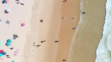 Aerial view of crowded beach with umbrellas and sun loungers video