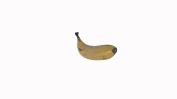 Unique banana displays unusual shape in plain background video