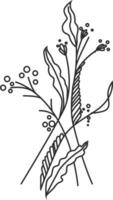 A drawing of a plant with leaves and flowers vector