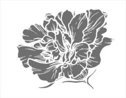 Silhouette botanical illustration of flower with leaves. Hand-drawn floral element with a branch. Perfect for creating graphic resource in inversion style and packaging designs. vector
