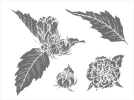 Silhouette botanical illustration of flower with leaf. Hand-drawn floral element set of branch with bud. Perfect for creating graphic resource in line art style and packaging designs. vector