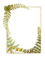 Rectangular frame with fern leaves botanical card template in earth tone. Hand drawn watercolor floral element with thin gold. Perfect for the use of ecological material and sustainable designs. vector