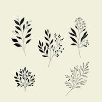 Minimalist black leaf and branch illustrations on a beige background. Elegant and modern botanical design. Collection of herbs vector