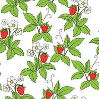 Seamless Pattern With Drawn Strawberry Bushes On A White Background vector