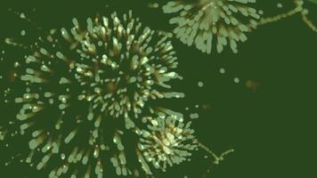 Experience the magic of a brilliant fireworks display in HD with our stunning collection of high-quality videos