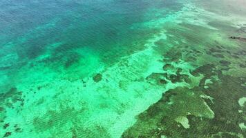 Aruba aerial view of the colorful ocean video