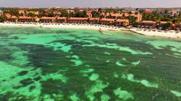 antenne visie van de strand met hotel Aan de caraïben eiland van aruba video