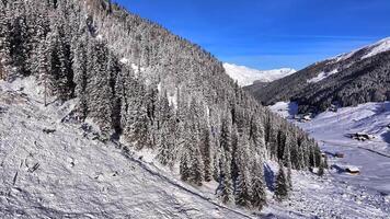 Aerial view of snow covered trees in the Winter scenery in the European Alps, Grisons, Switzerland video