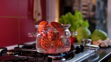 woman checks whether the lobsters are cooked for consumption video