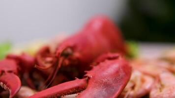 point of interest lobster cooking in table wood The lobster is getting ready.. Food close up. video