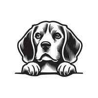 Beagle by the Campfire Glow vector