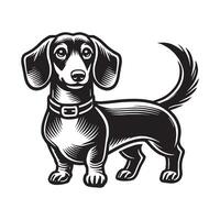 Dachshund with a Bowtie Swagger vector