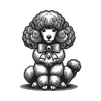 Poodle Black and White Isolated Icon vector