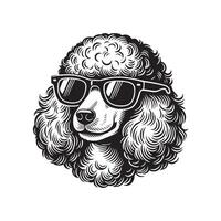 hand drawn line art illustration of Toy Poodle in side view vector