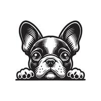 Cute french bulldog puppy cream color cartoon, vector
