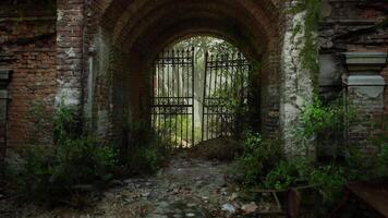 The overgrown entrance to the ruins of a historic European mansion in nature video