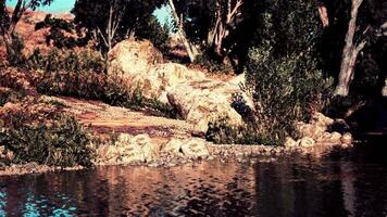 Serene riverside setting with rocks and lush greenery during bright daylight video