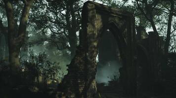 Ancient stone archway surrounded by dense forest under misty twilight video