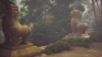 Ancient stone guardians at a hidden temple in the jungle of Vietnam video